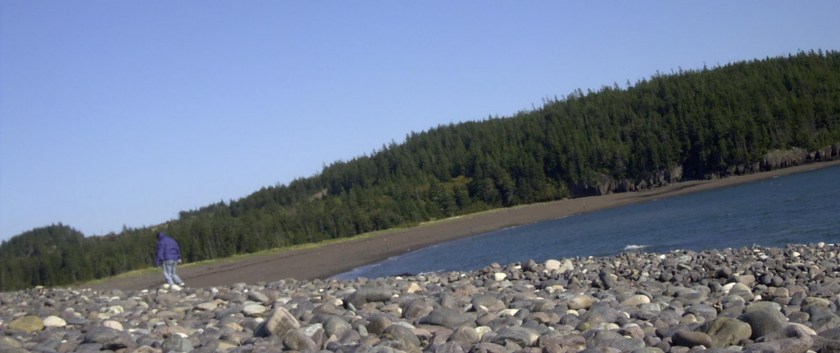 6ed89-jeannejasperbeach10-02