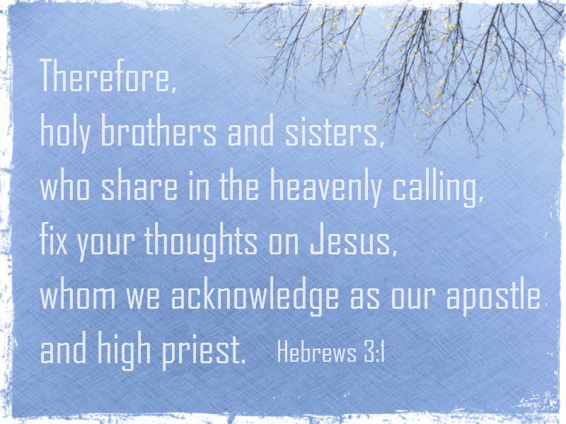 blue sky with branches verse