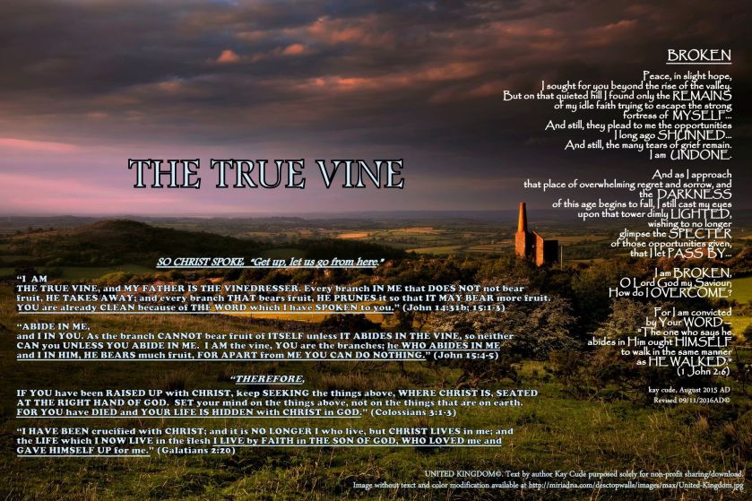 THE TRUE VINE