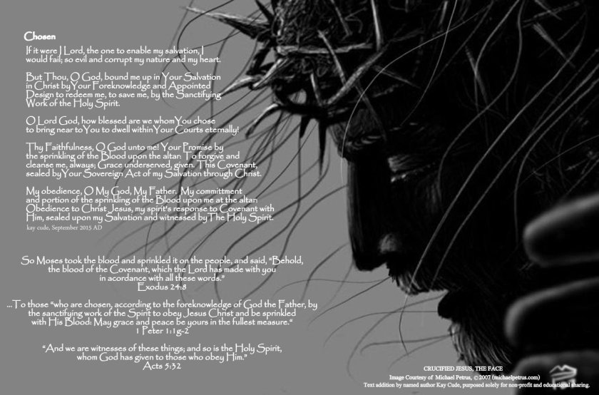 crucified_jesus__the_face_by_devcager