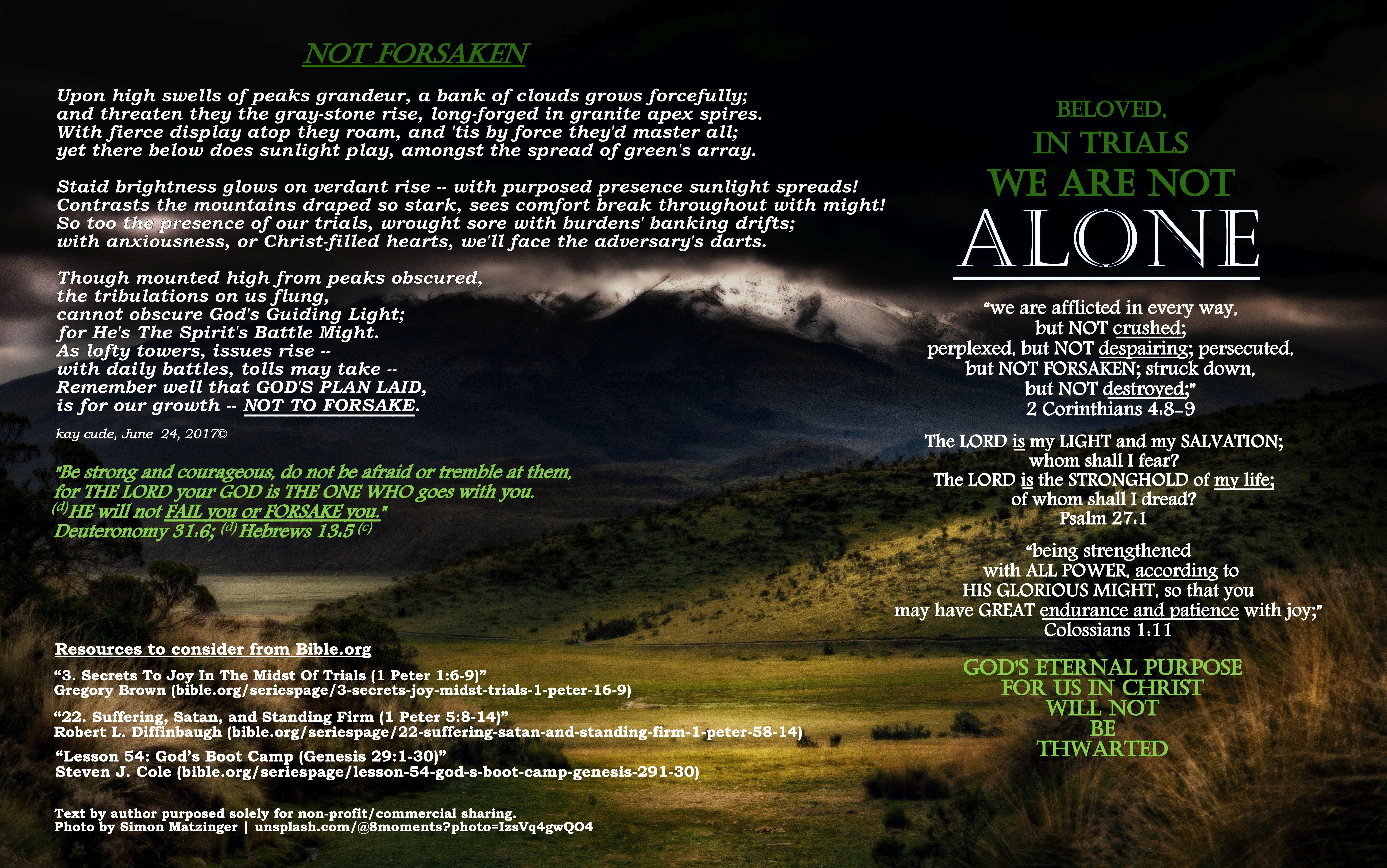 NOT FORSAKEN, NOT ALONE