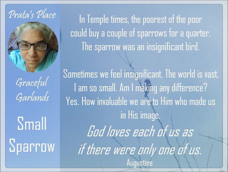 Prata Corner Graceful Garlands 2 sparrow