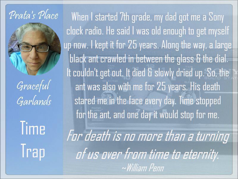 prata place graceful garlands 19 clock radio