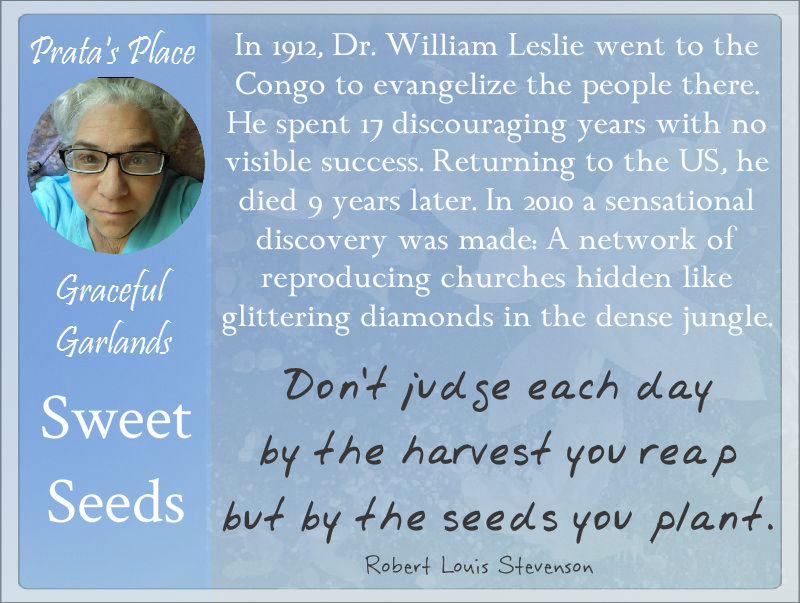 Prata Place Graceful Garlands seeds