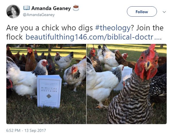 biblical doctrine chickens