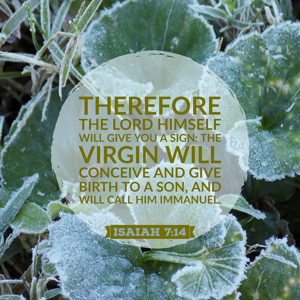 thirty days of jesus verse 1