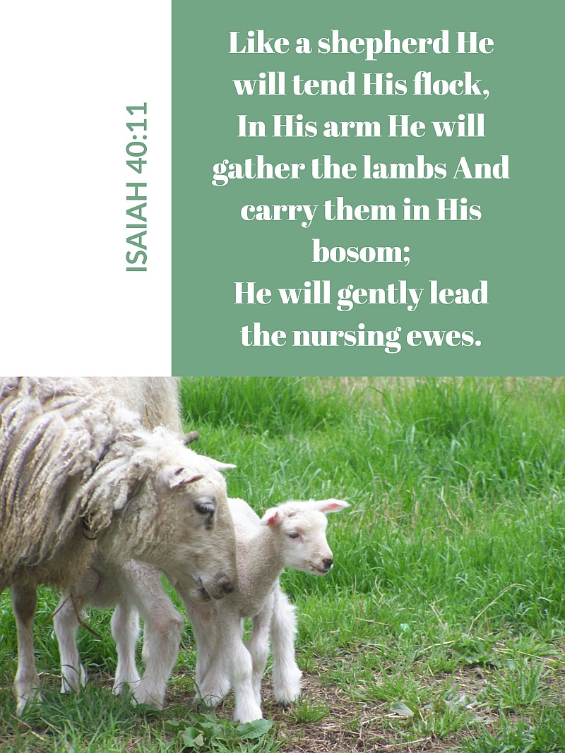 thirty days of Jesus day 21