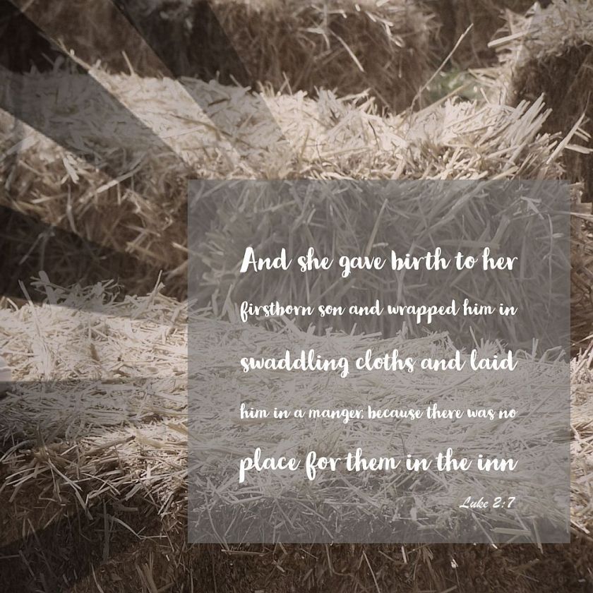 thirty days of jesus verse 5