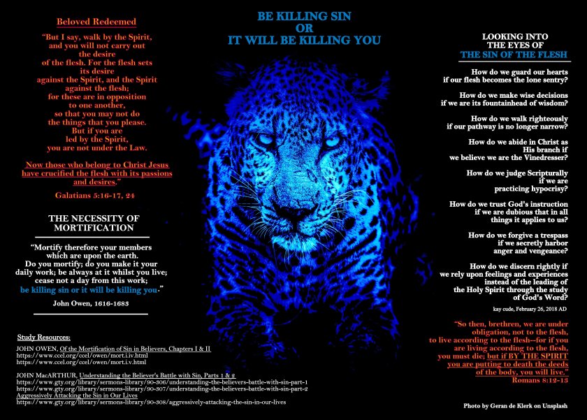 geran-de-klerk-546769