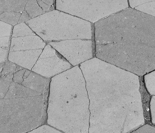 cracked sidewalk