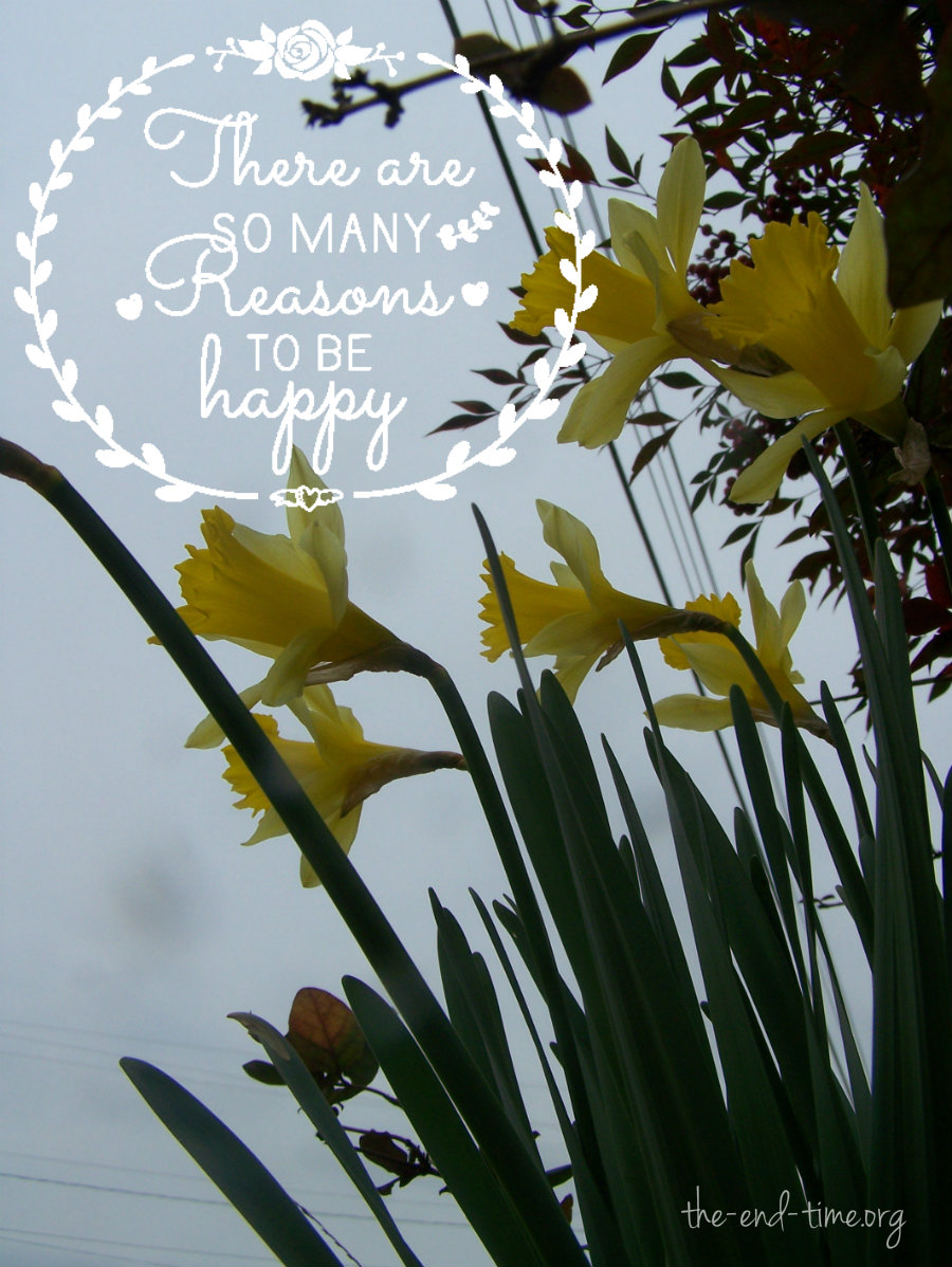 quote reasons to be happy