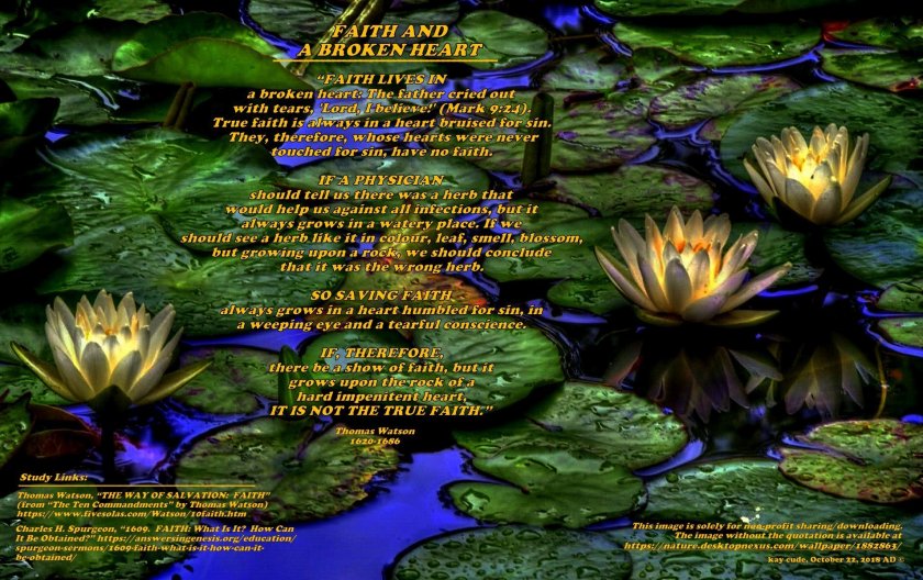 FAITH AND A BROKEN HEART