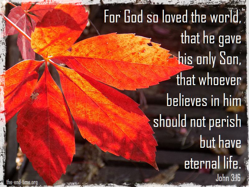 john 316verse.jpg