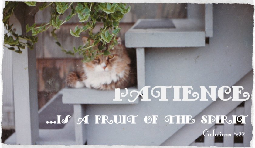 patience is a fruit of the spirit