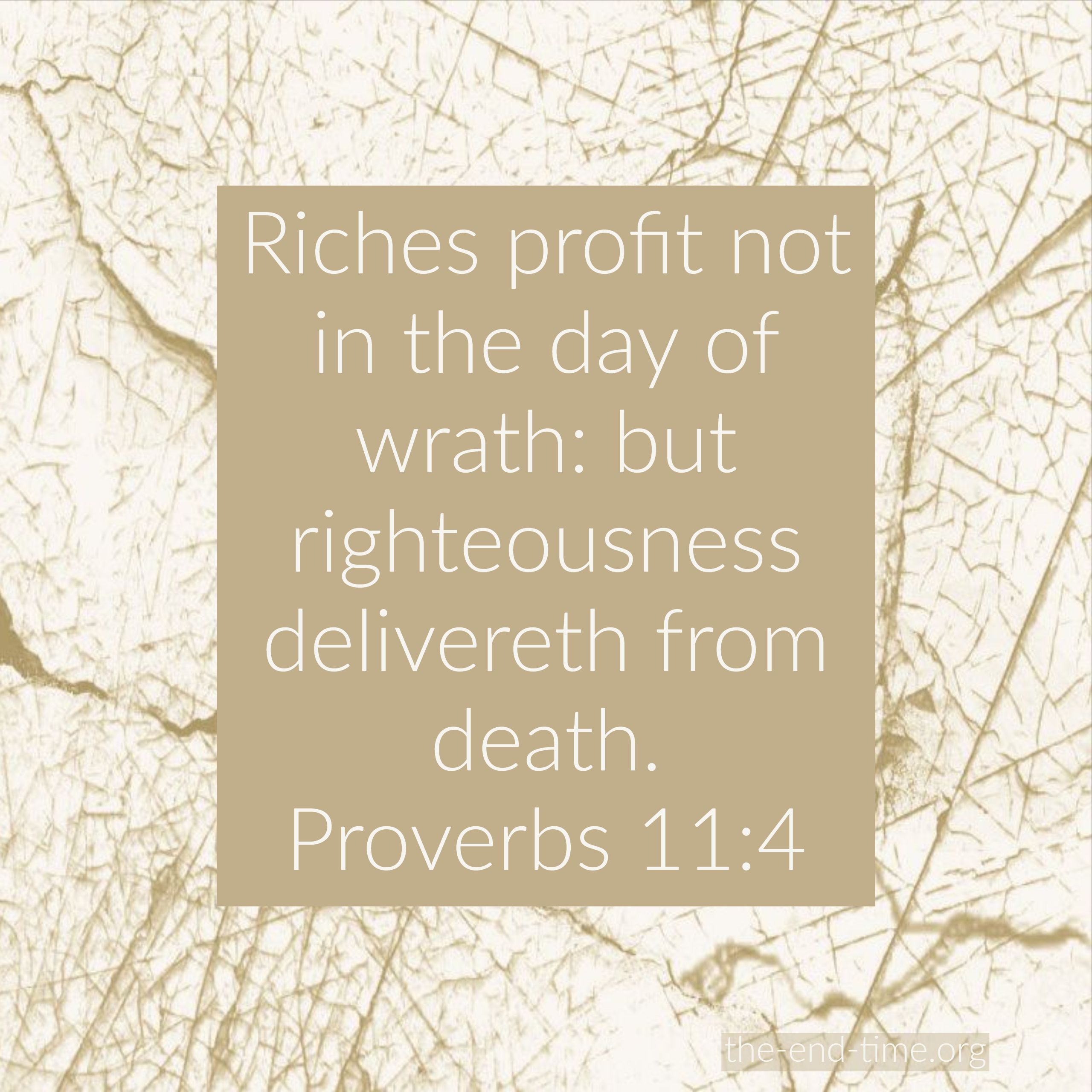 riches profit not verse