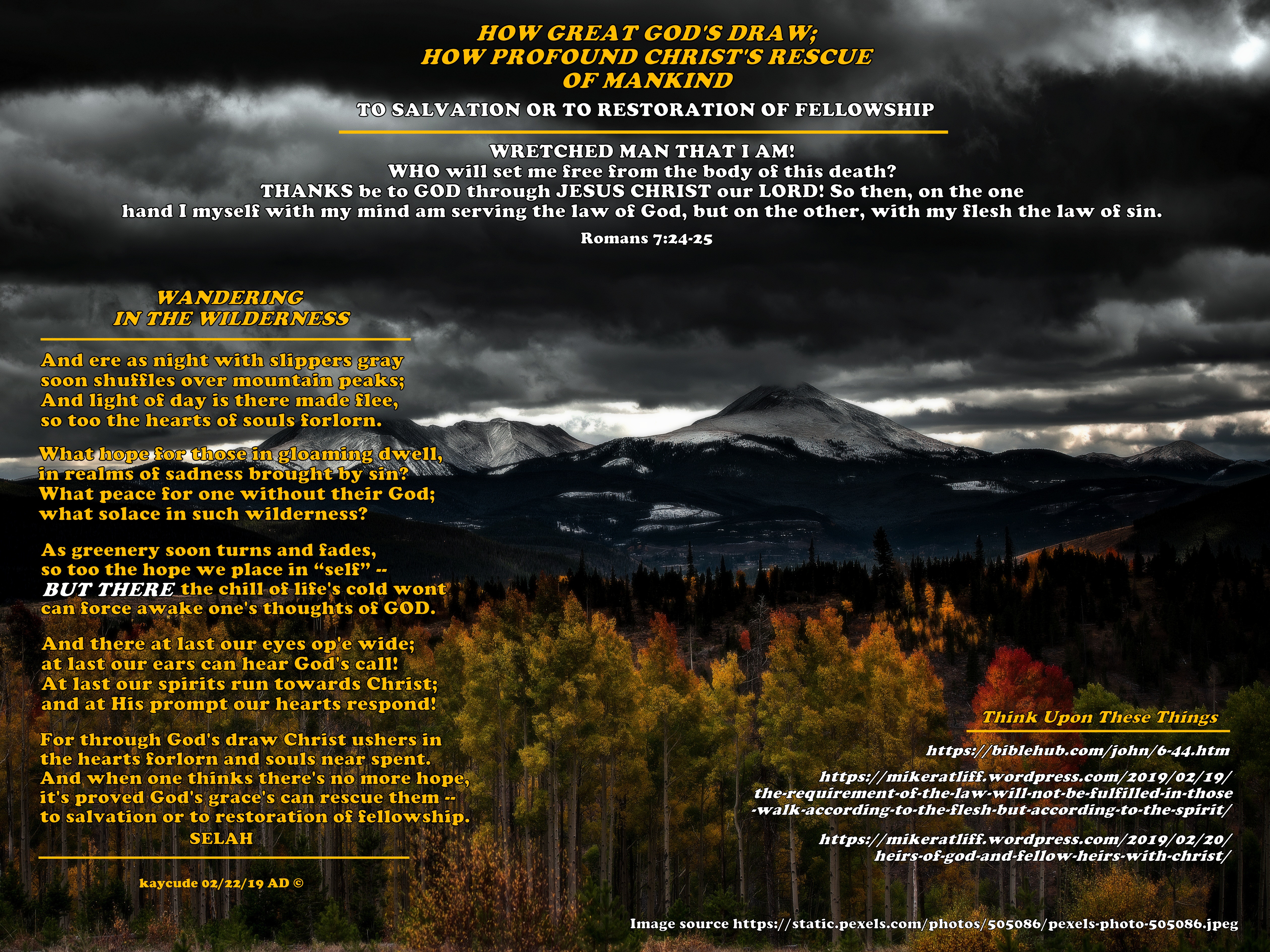 WANDERING IN THE WILDERNESS