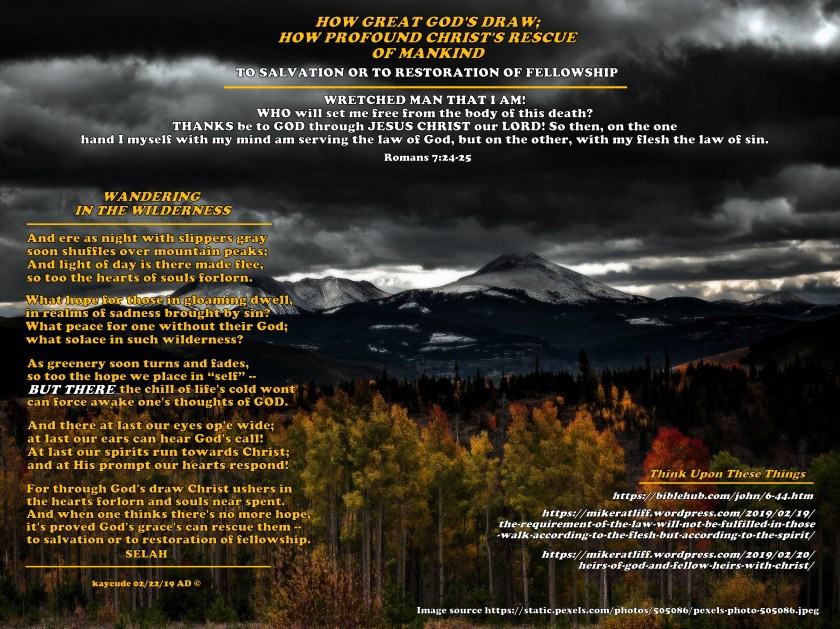 WANDERING IN THE WILDERNESS