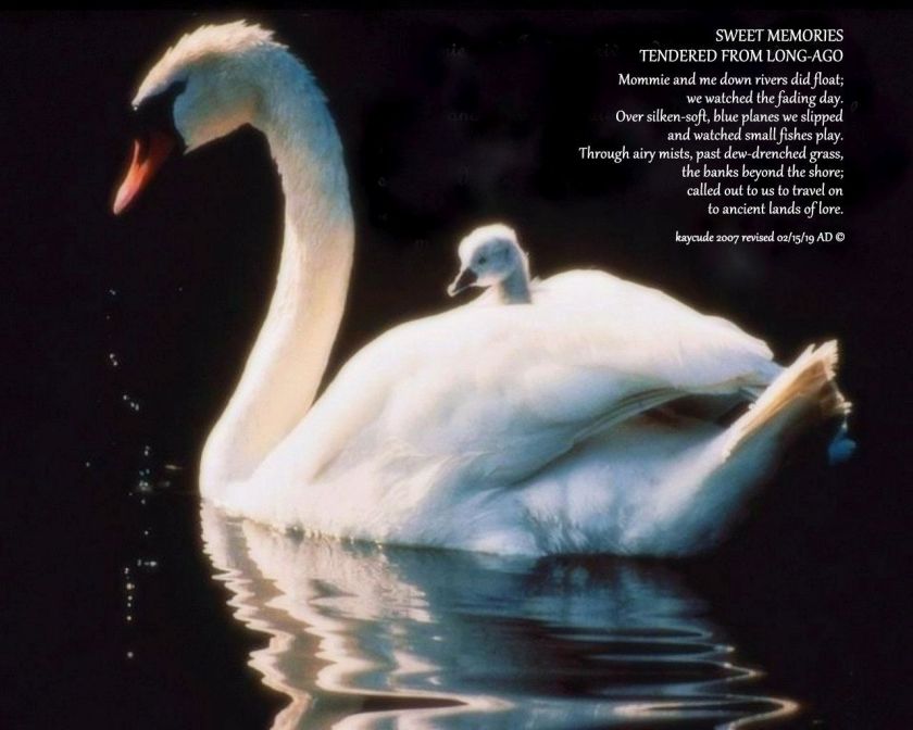 SWEET MEMORIES TENDERED FROM LONG-AGO