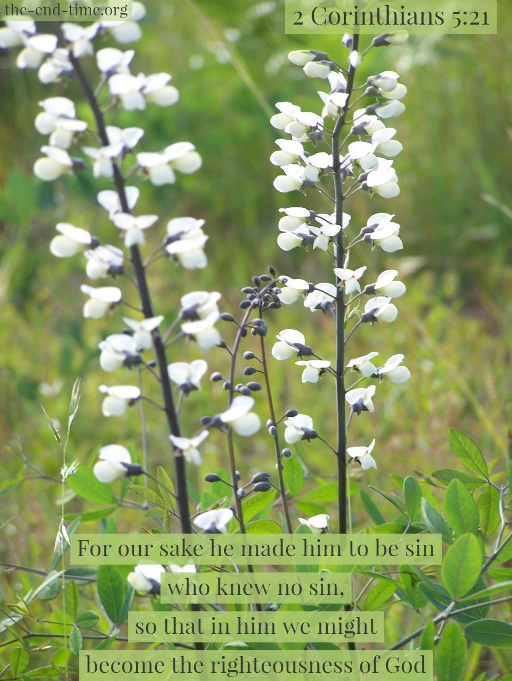 in him