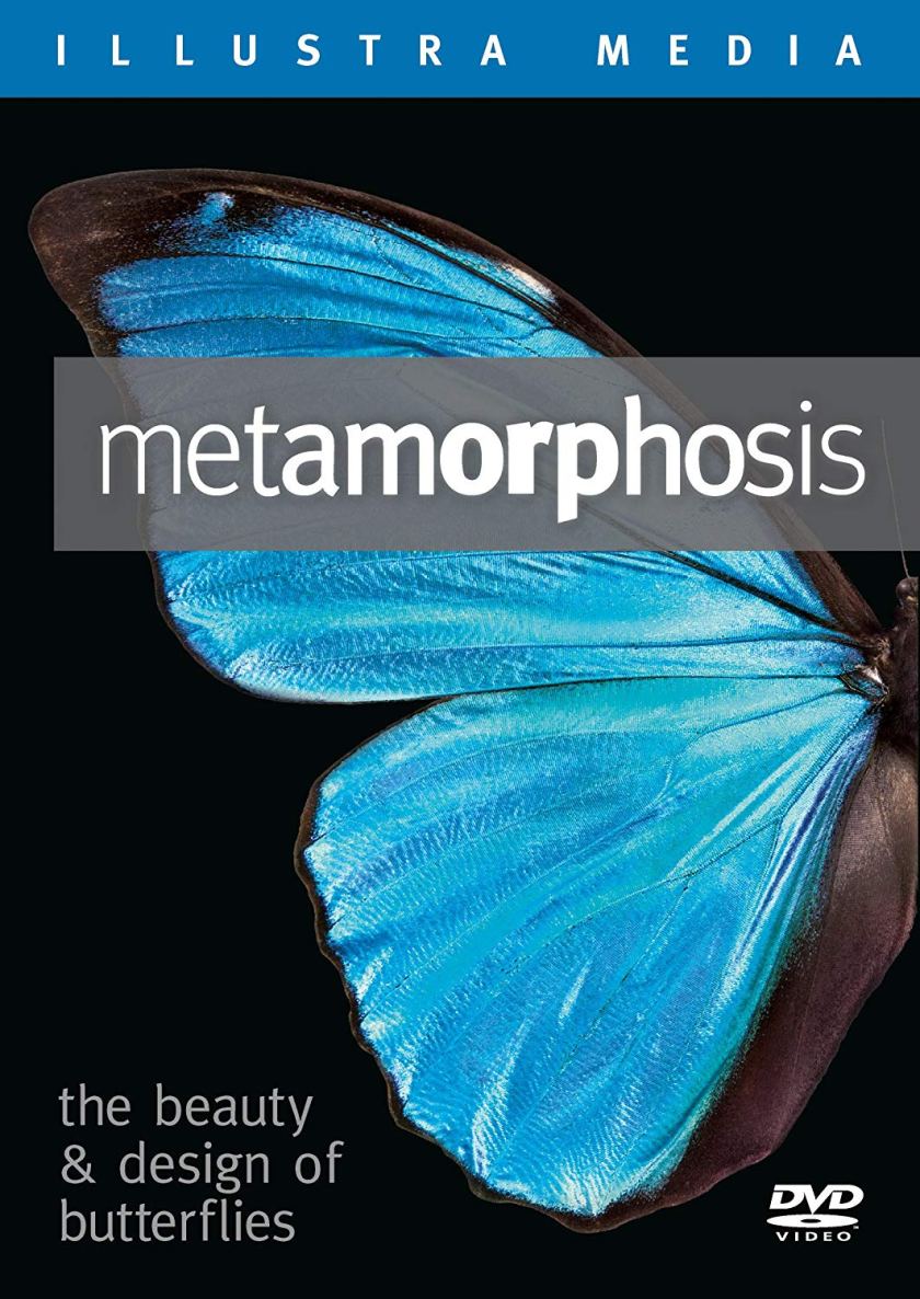 metamorphosis
