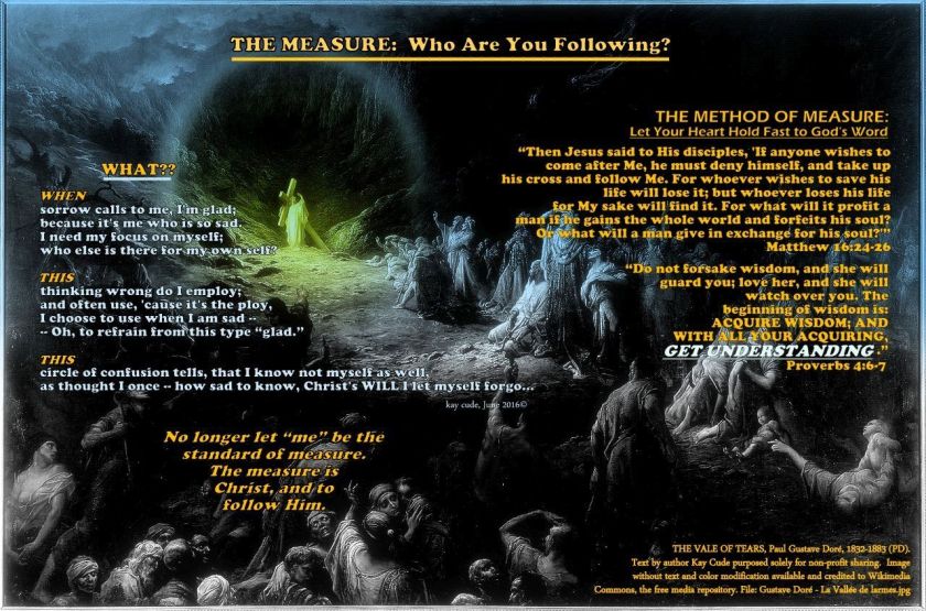 THE MEASURE OF ME: WHO ARE YOU FOLLOWING?