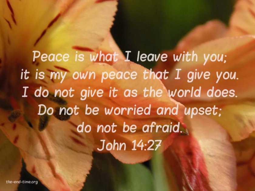 flower anxious verse 6