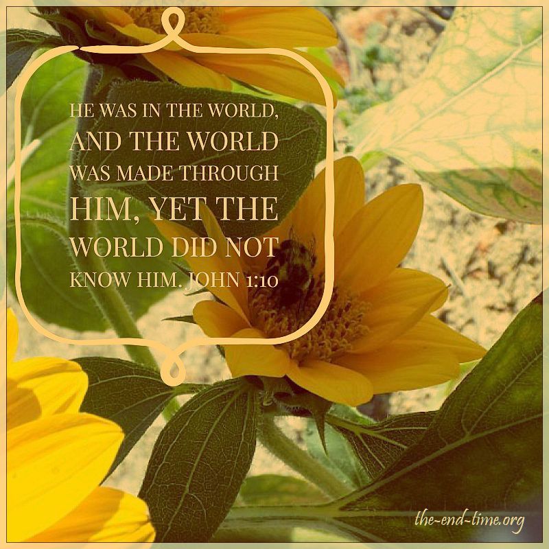 the world did not know him verse
