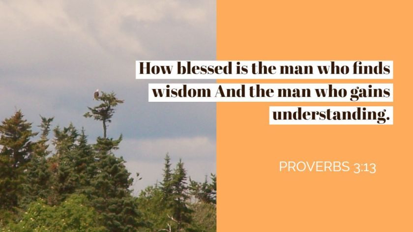 wisdom verse 3
